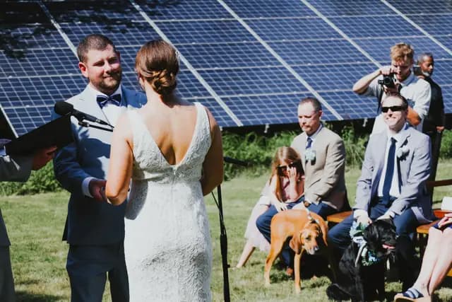 Bride and groom hold hands during the ceremony as guests and dogs watch