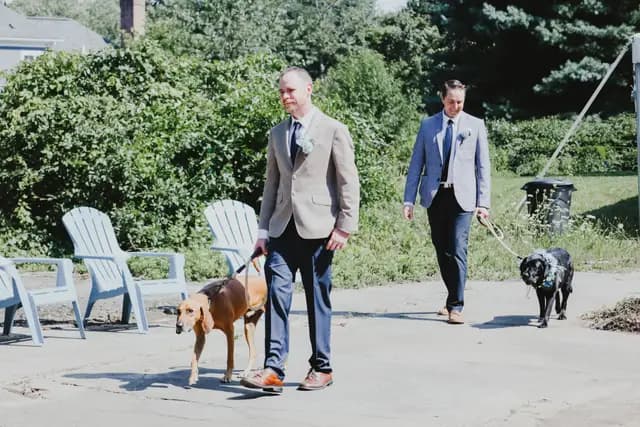 Two men in suits walk the couple's two leashed dogs down the path