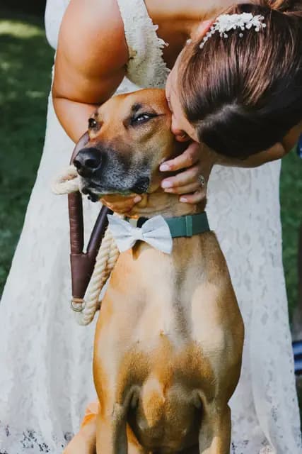 Bride kisses her brown dog, who wears a bow tie, at the wedding