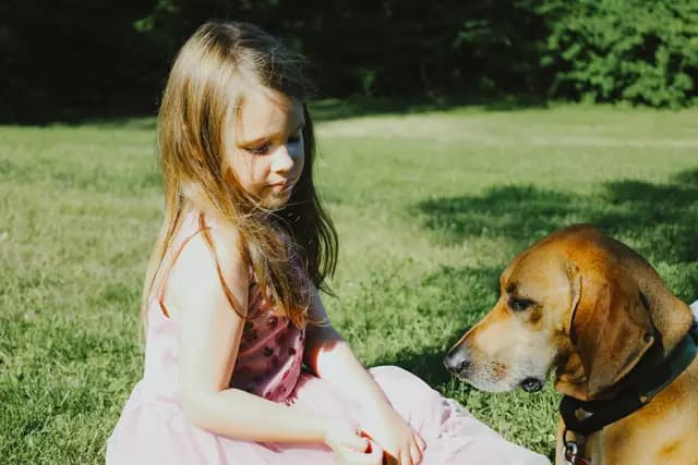 A young girl in a pink dress sits in the grass with the couple's hound